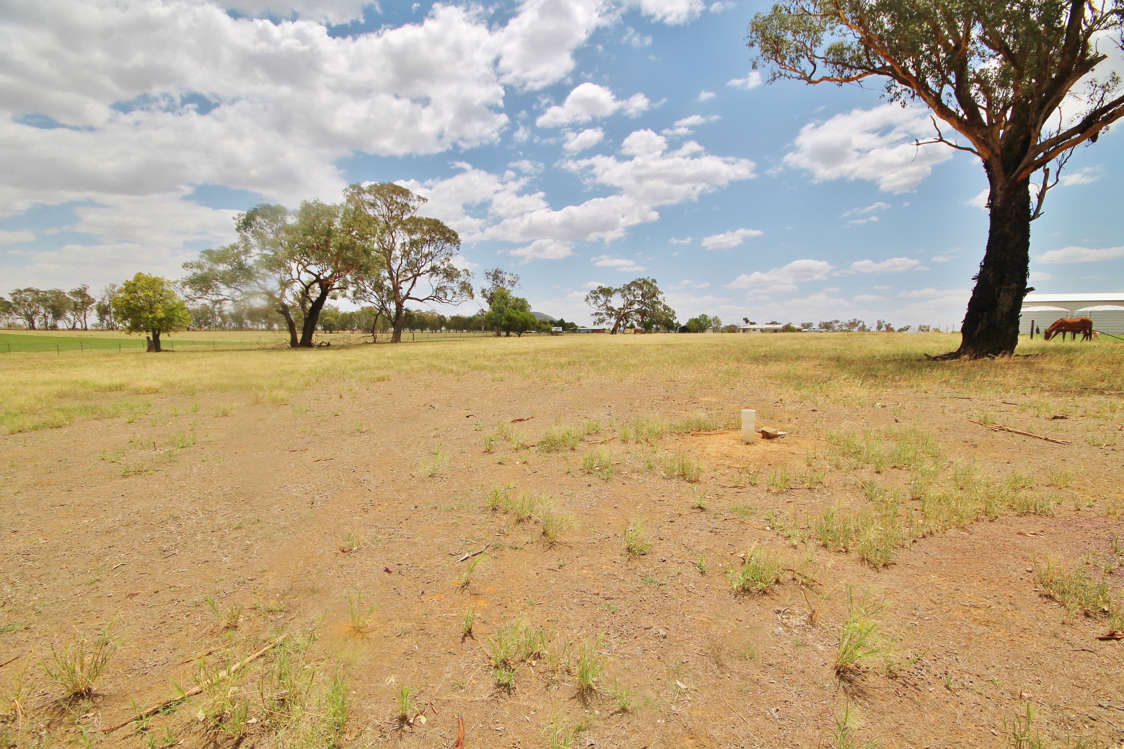 45 McGee Place, Murringo Via, Young NSW 2594, Young - Thumbnail 7