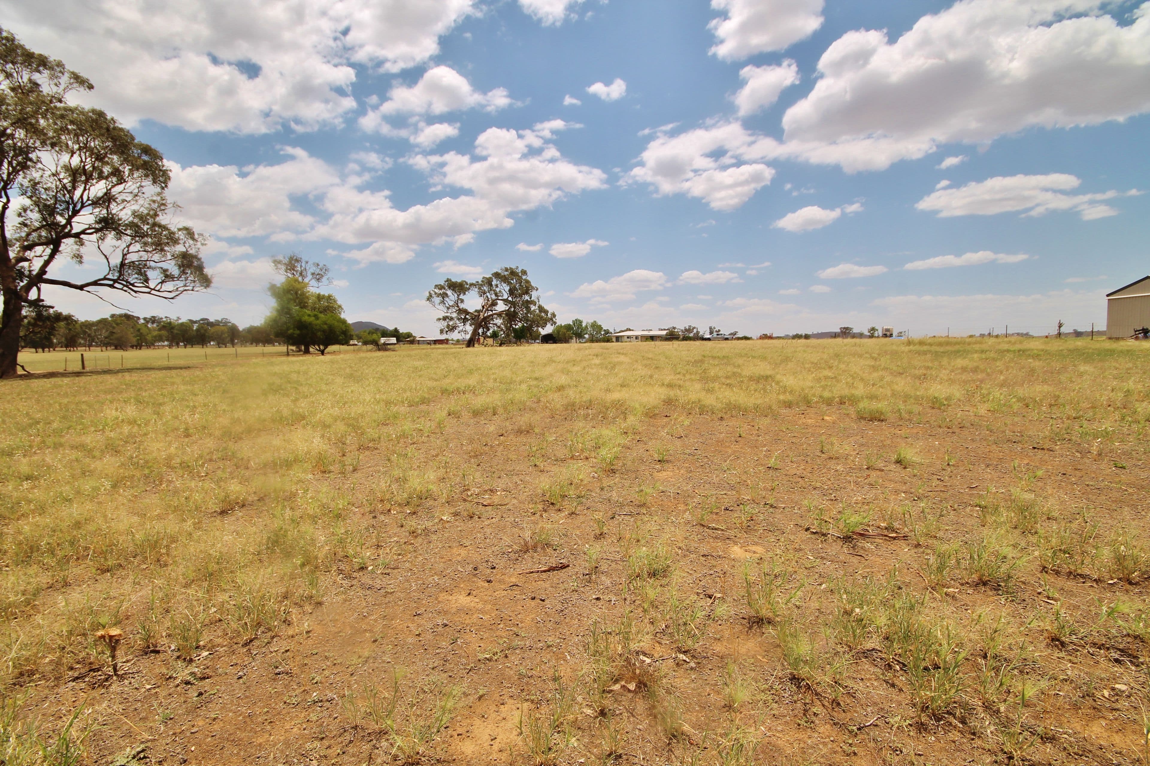 45 McGee Place, Murringo Via, Young NSW 2594, Young - Thumbnail 8