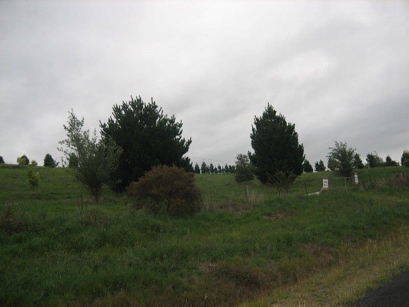 10 Dicker Drive, LITTLE HARTLEY NSW 2790, Little Hartley - Thumbnail 7
