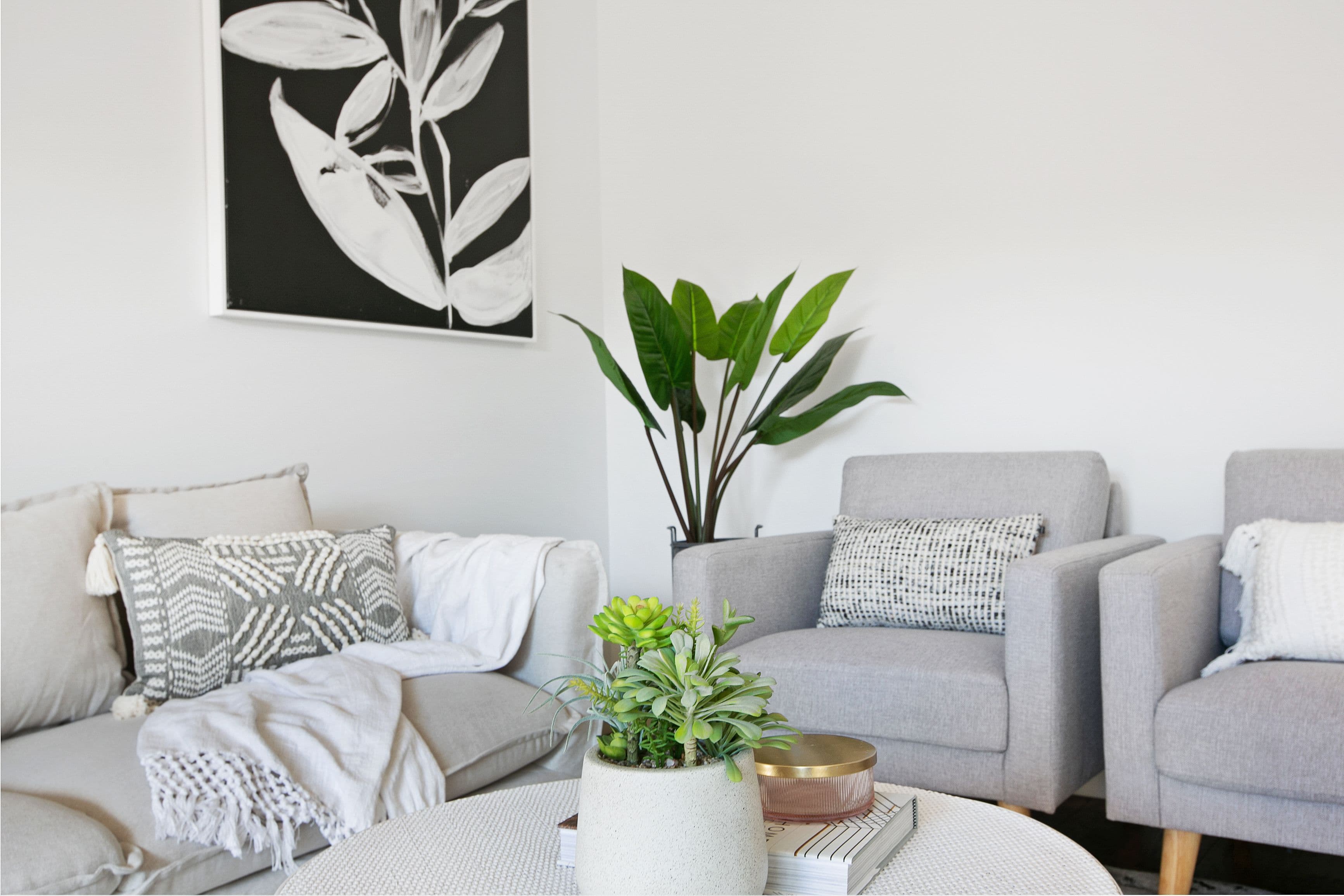 161 Albert Street, Reservoir VIC 3073, Reservoir - Thumbnail 4