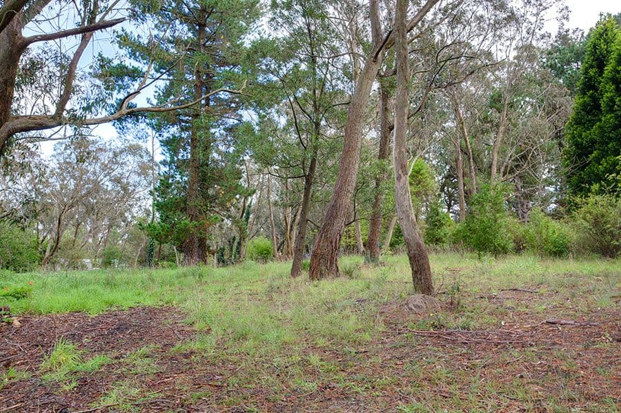 Lot 24 Grandview Road, MOUNT VICTORIA NSW 2786, Mount Victoria - Thumbnail 4