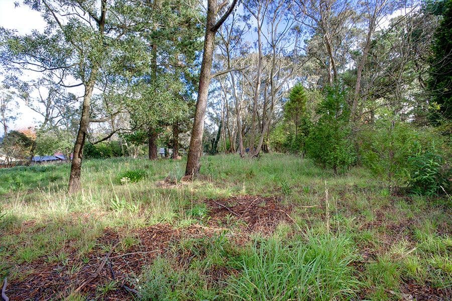 Lot 24 Grandview Road, MOUNT VICTORIA NSW 2786, Mount Victoria - Thumbnail 5
