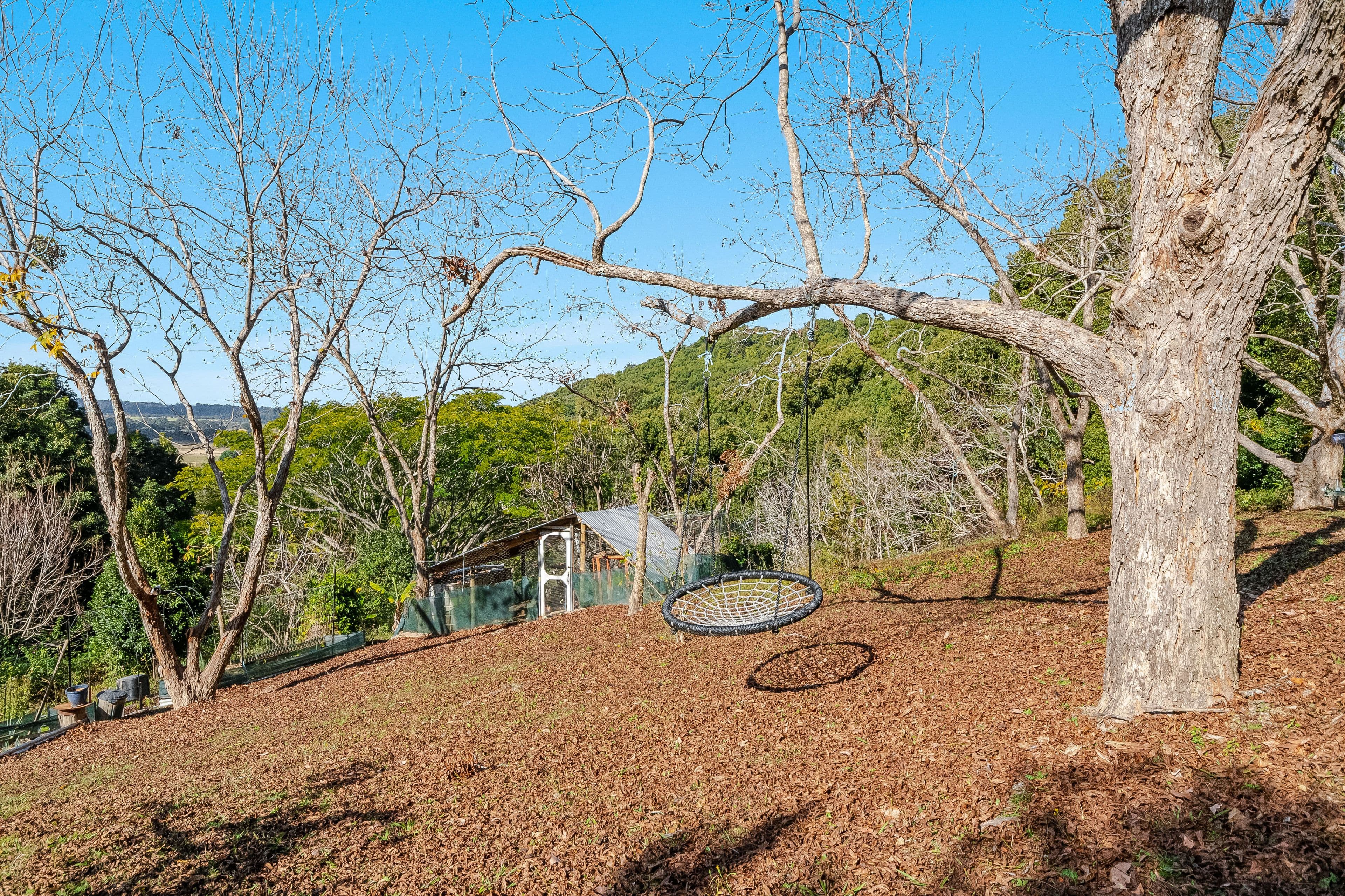429 Wilsons Creek Road, Wilsons Creek NSW 2482, Wilsons Creek - Thumbnail 8
