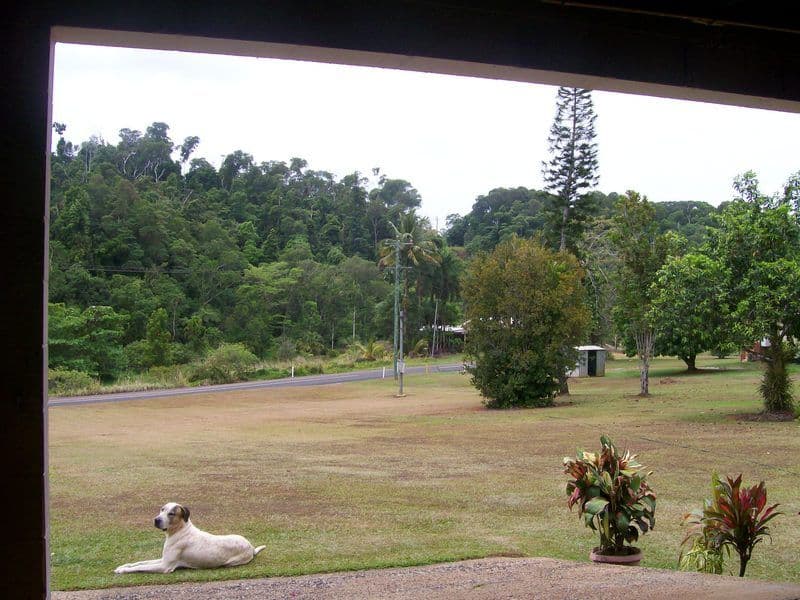 102 Eubenangee Road, EUBENANGEE QLD 4860, Eubenangee - Thumbnail 6
