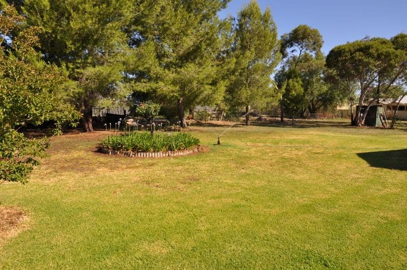 32 Murray Avenue, Armidale NSW 2350, Armidale - Thumbnail 6