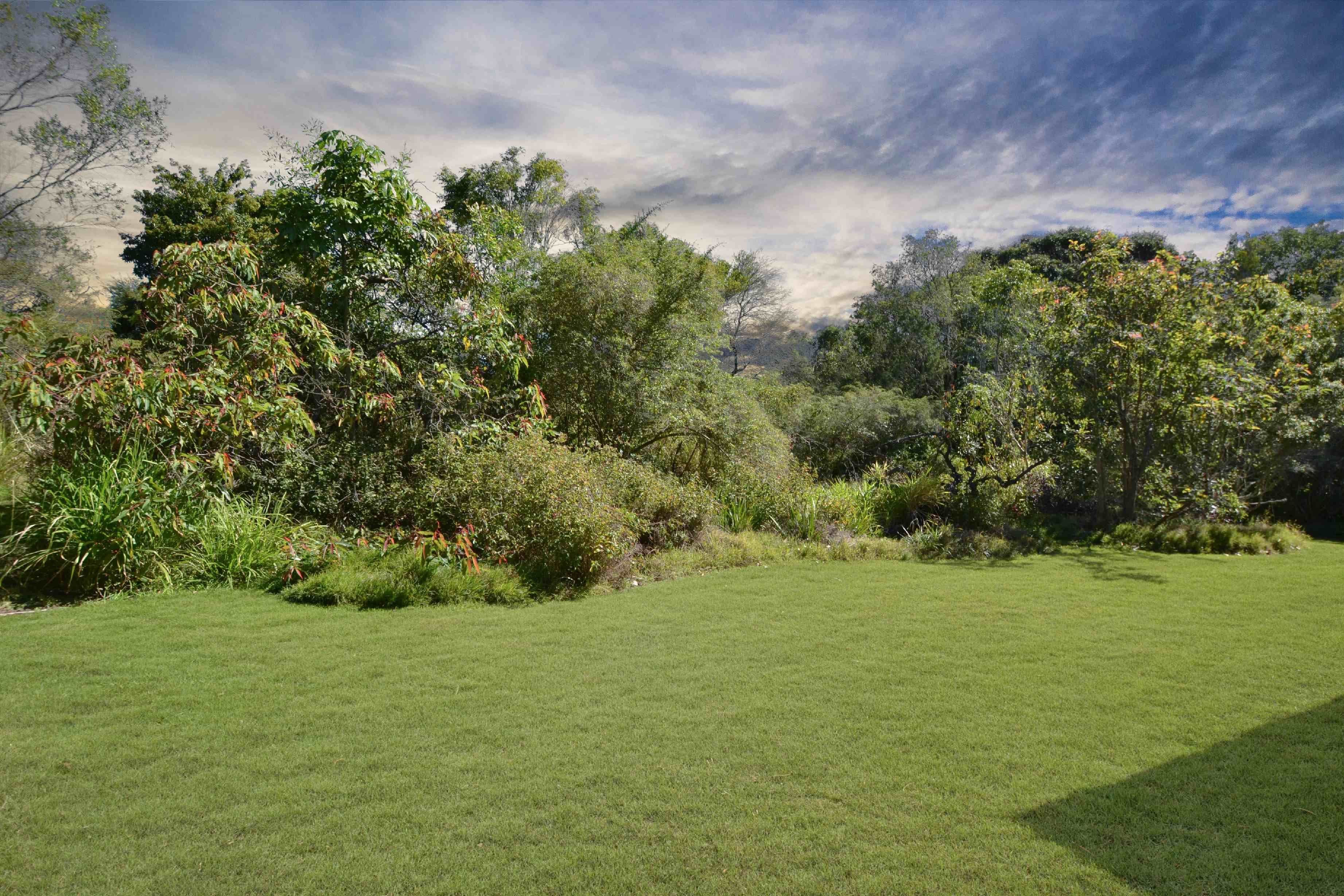 172 Pikes Road, Glass House Mountains QLD 4518, Glass House Mountains - Thumbnail 4