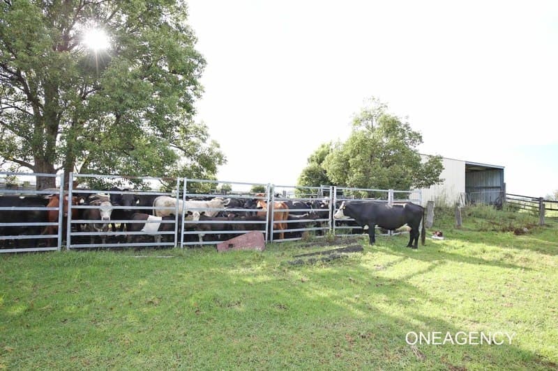 Western Lane, Bellimbopinni, NSW 2440, Bellimbopinni - Thumbnail 7