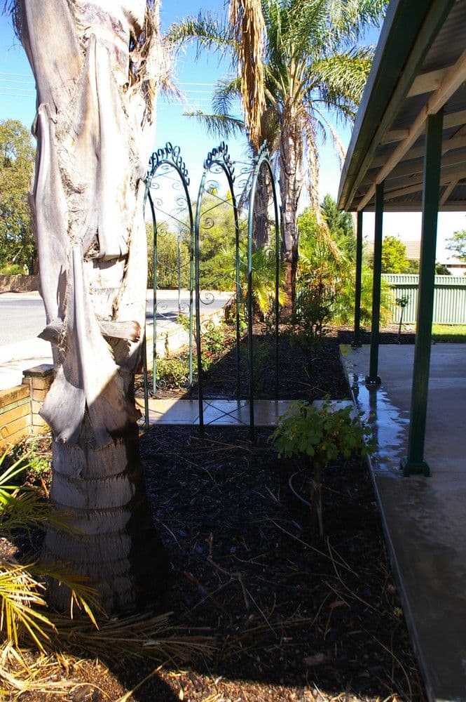 54 Thirteenth Street, RENMARK SA 5341, Renmark - Thumbnail 2