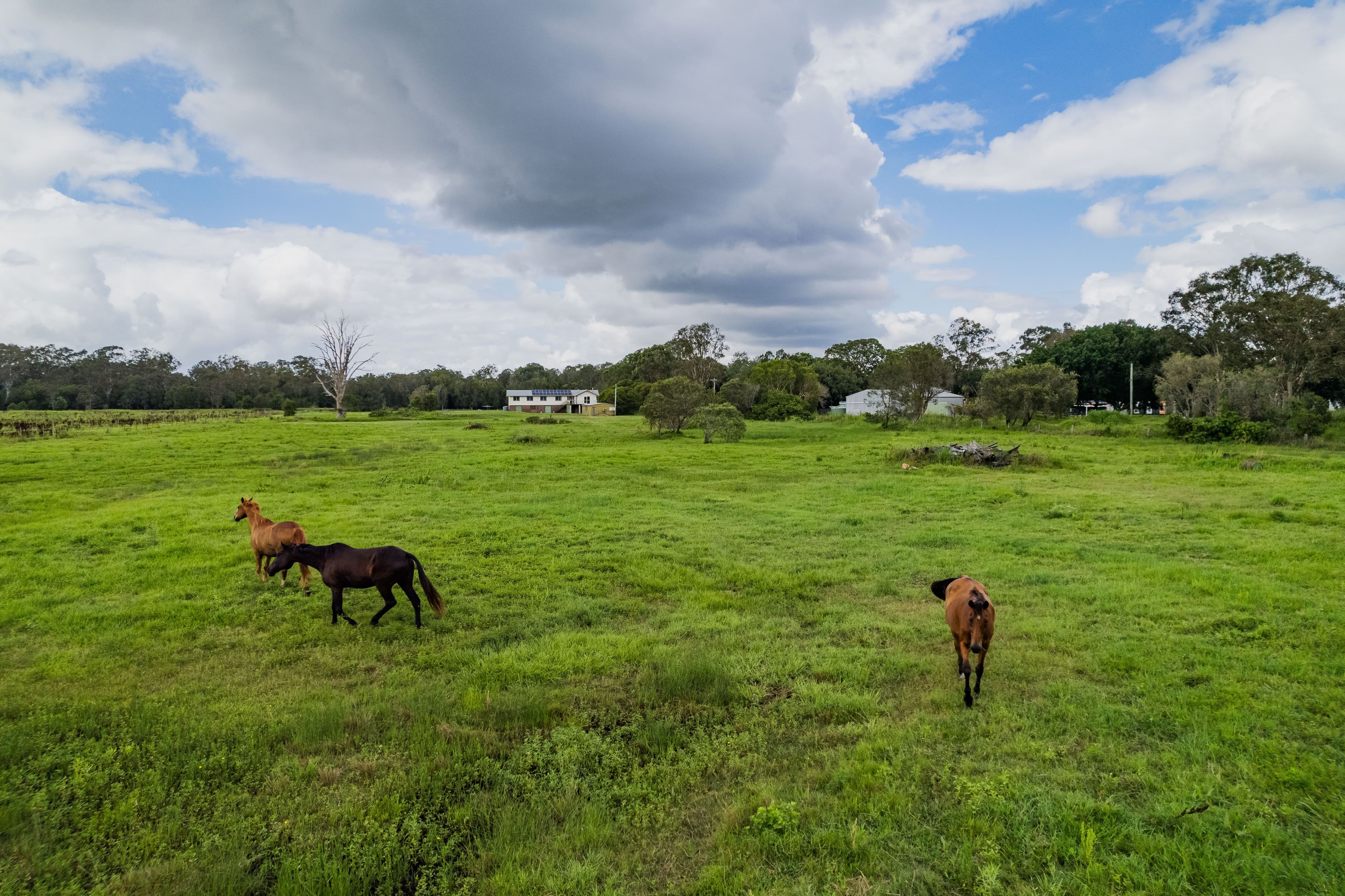 165 Fountain Road, Burpengary East QLD 4505, Burpengary East - Image 1