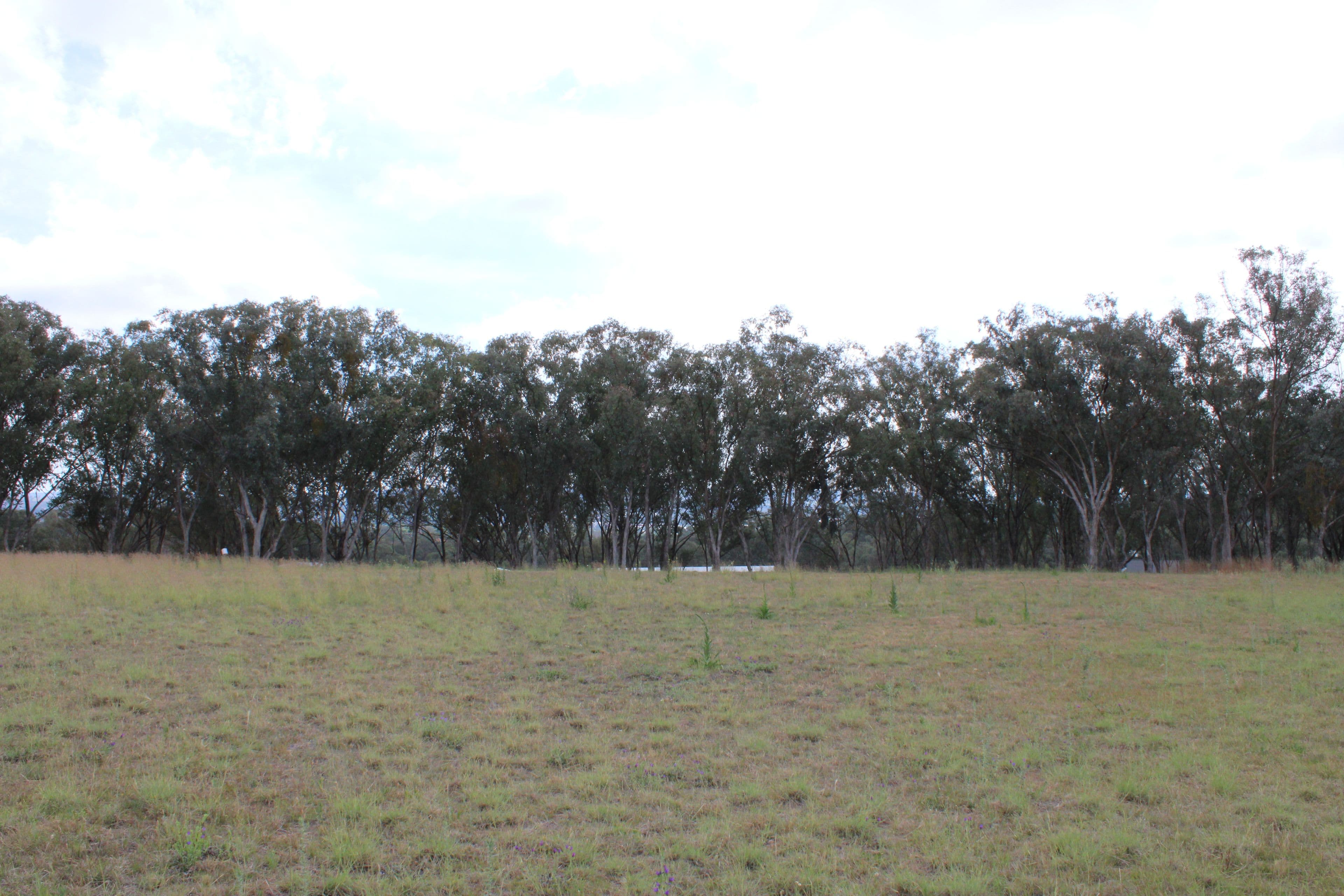 Lot 30 Sylvan Drive, Inverell NSW 2360, Inverell - Thumbnail 2