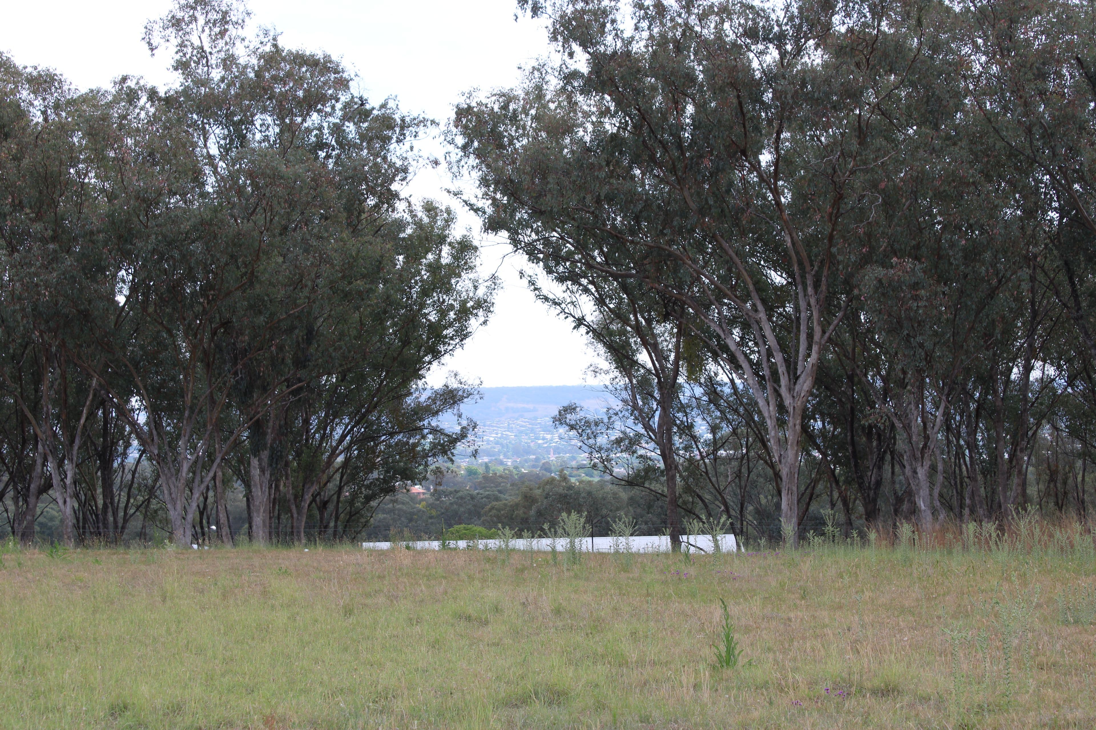 Lot 30 Sylvan Drive, Inverell NSW 2360, Inverell - Thumbnail 3