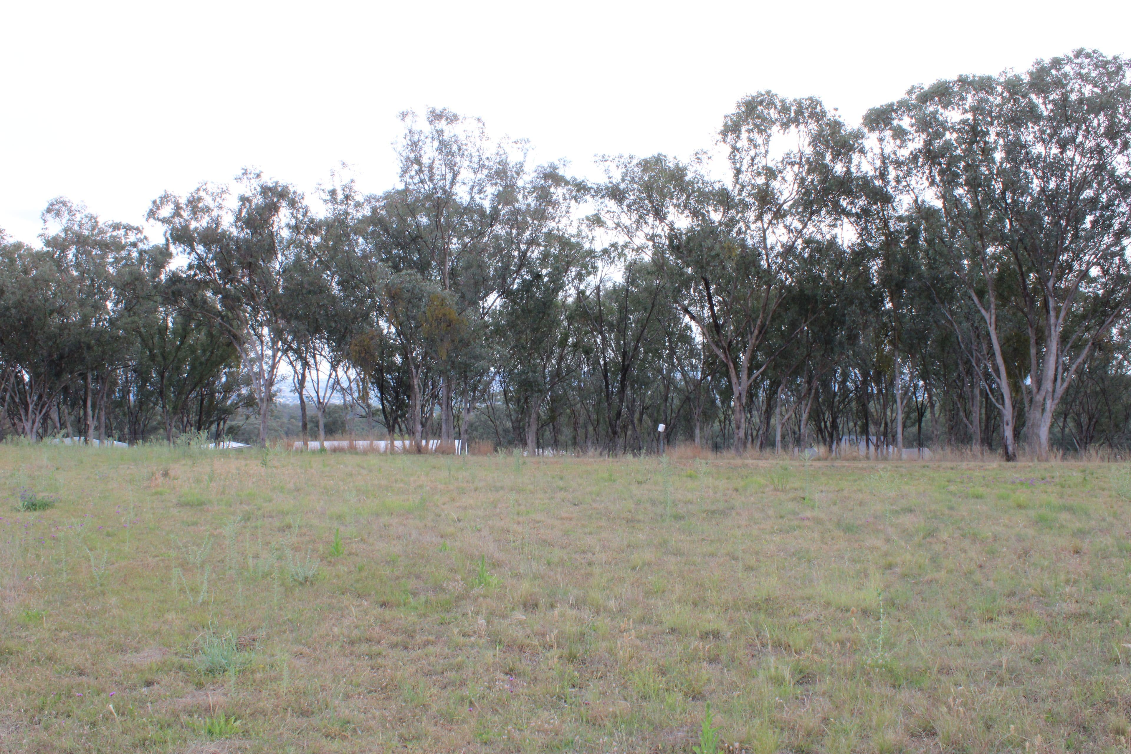 Lot 30 Sylvan Drive, Inverell NSW 2360, Inverell - Thumbnail 6