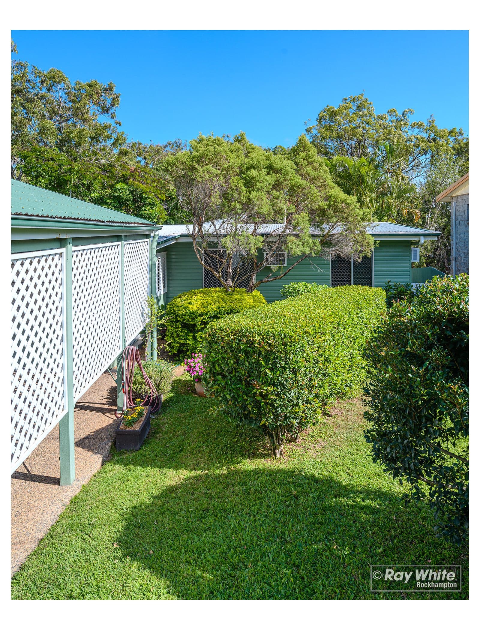 329 Mills Avenue, Frenchville QLD 4701, Frenchville - Thumbnail 3