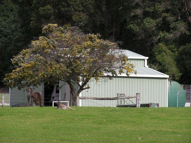 Lot 7 Parkfield Drive, NORTHCLIFFE WA 6262, Northcliffe - Thumbnail 4