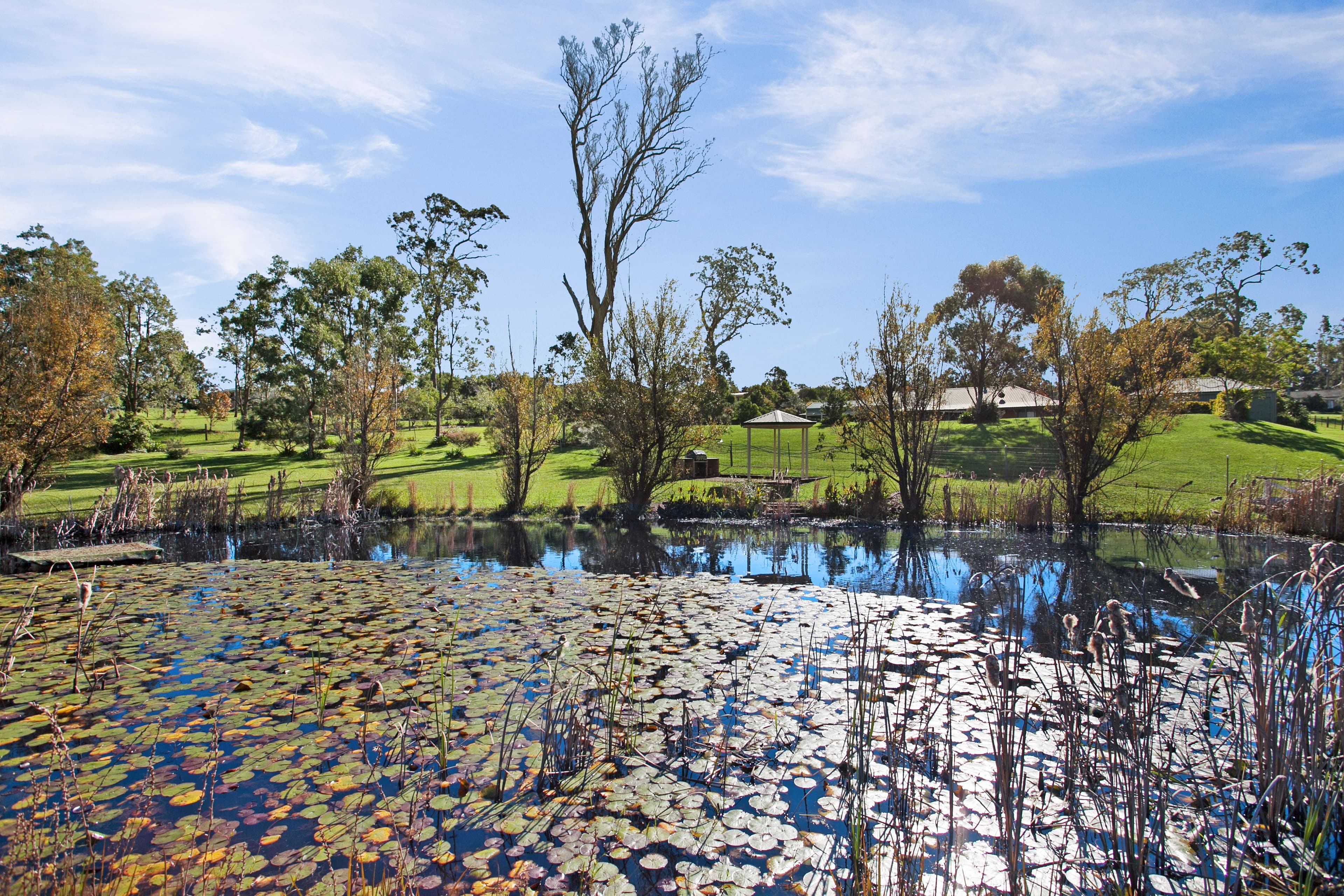 10 Carramar Close, Brandy Hill - Thumbnail 3