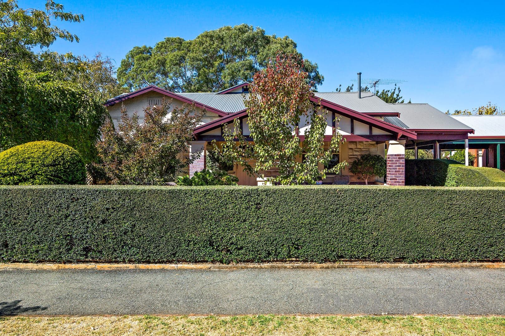 3 Broadway, Colonel Light Gardens SA 5041, Colonel Light Gardens - Thumbnail 3