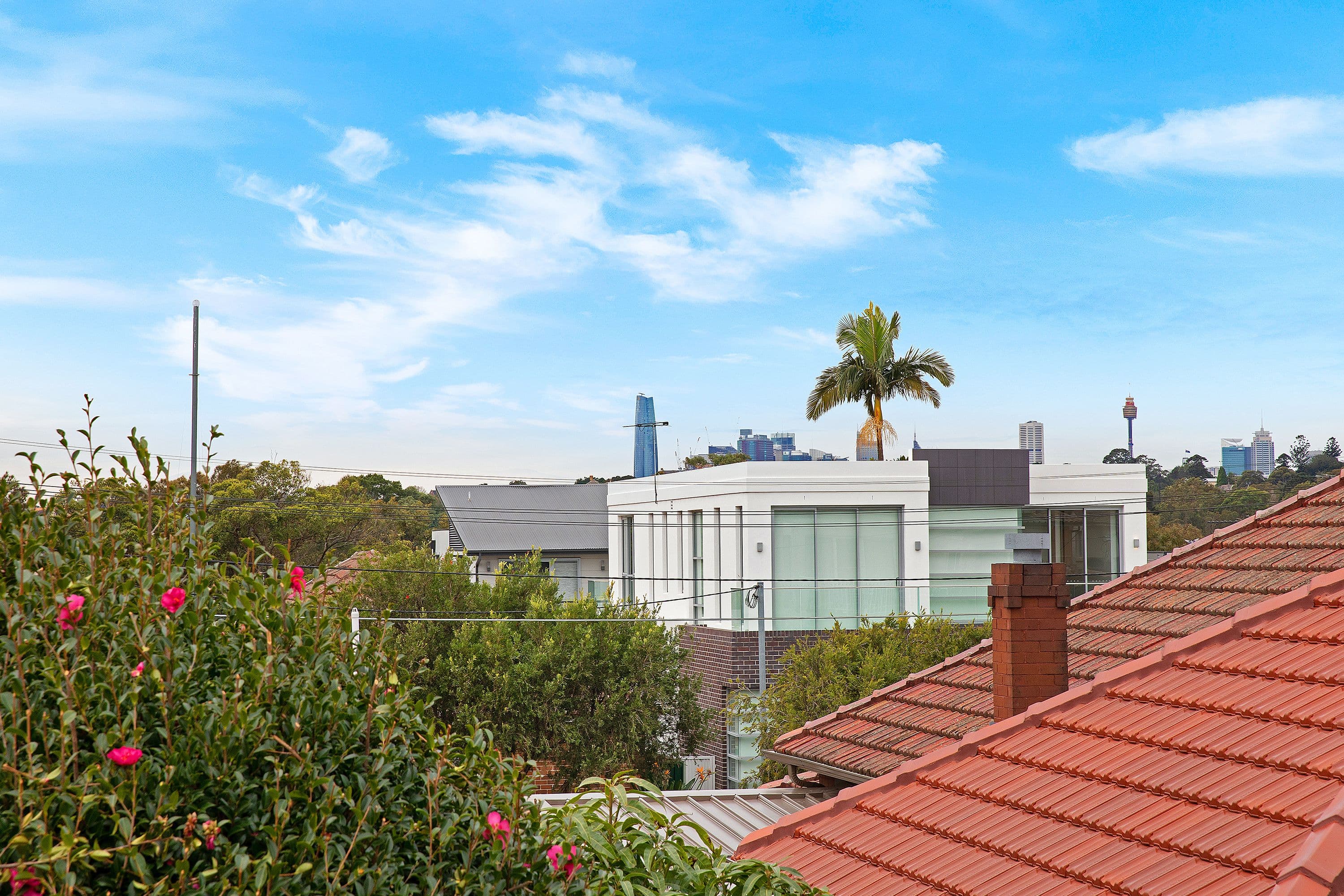 12 Hood Avenue, Rodd Point NSW 2046, Rodd Point - Thumbnail 8