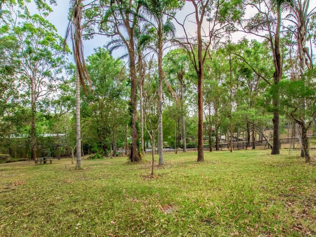 31 Clarence Drive, Helensvale QLD 4212, Helensvale - Thumbnail 4