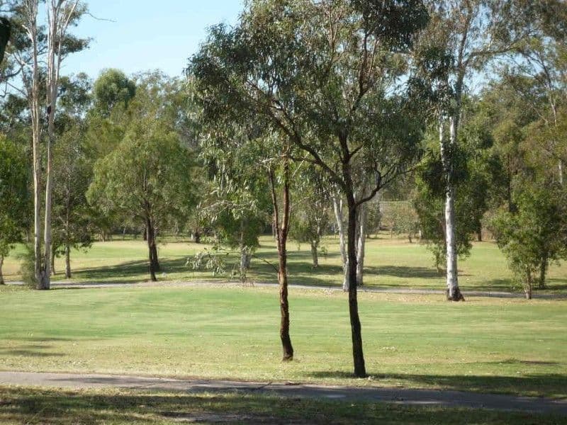 16 Torquay Place, ARUNDEL QLD 4214, Arundel - Thumbnail 5