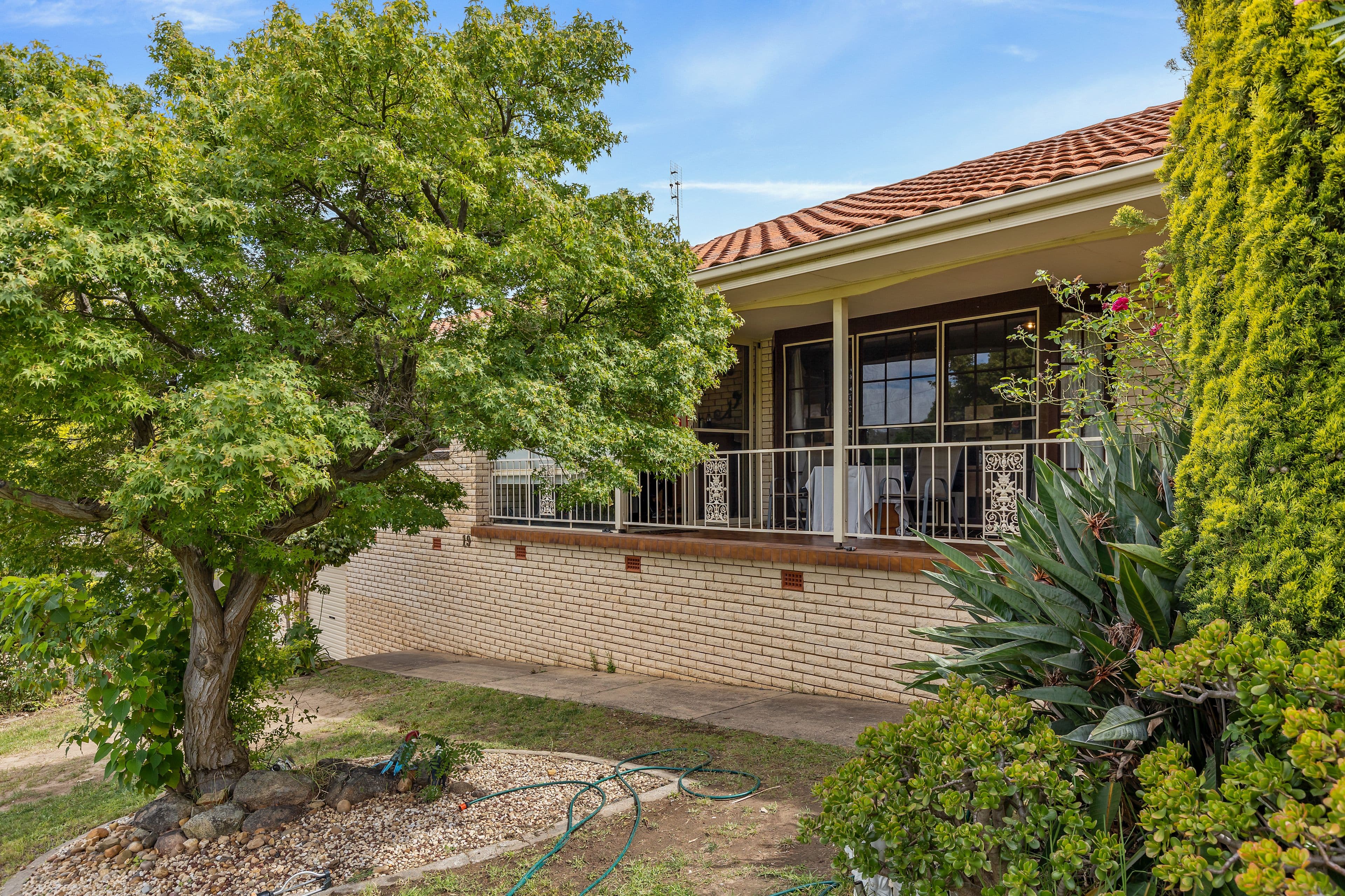 19 Churchill Avenue, Kooringal NSW 2650, Kooringal - Thumbnail 8