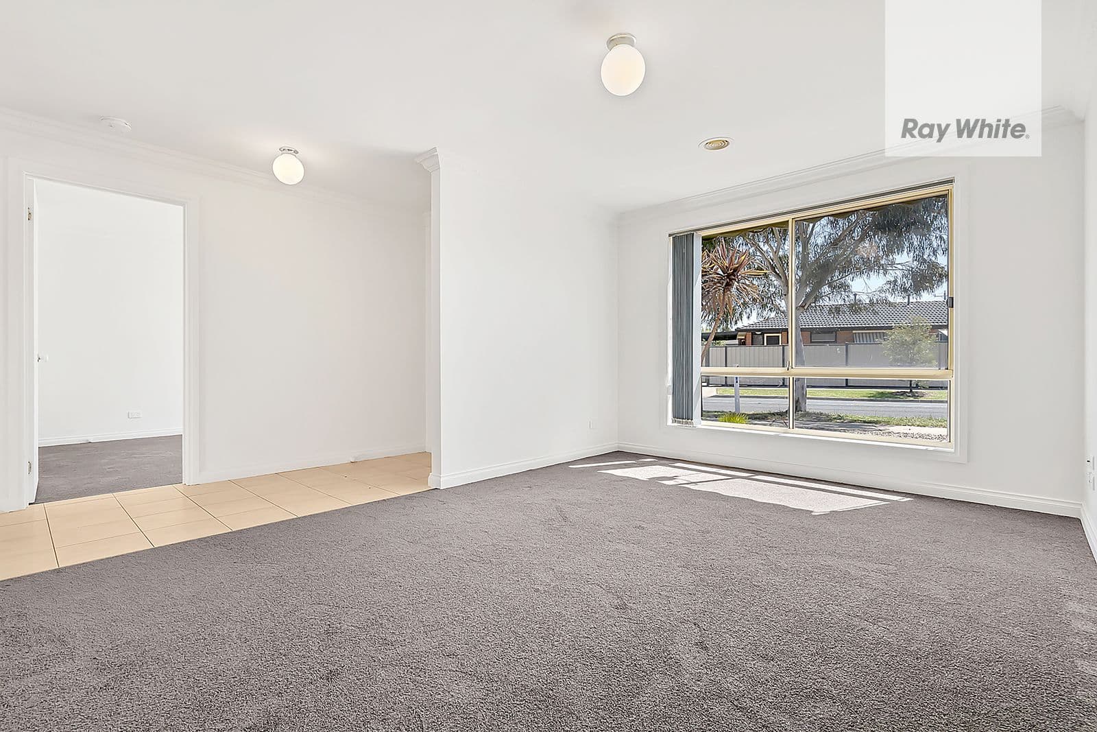 56 Edington Way, Craigieburn VIC 3064, Craigieburn - Thumbnail 5