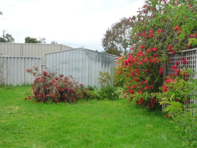 86B Hassell Street, MOUNT BARKER WA 6324, Mount Barker - Thumbnail 7
