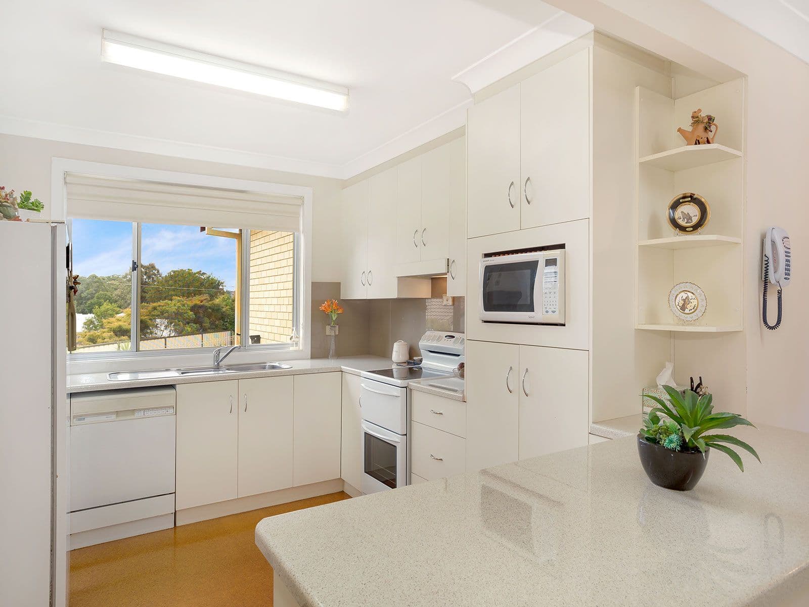 42 Wyreema Avenue, Goonellabah NSW 2480, Goonellabah - Thumbnail 2