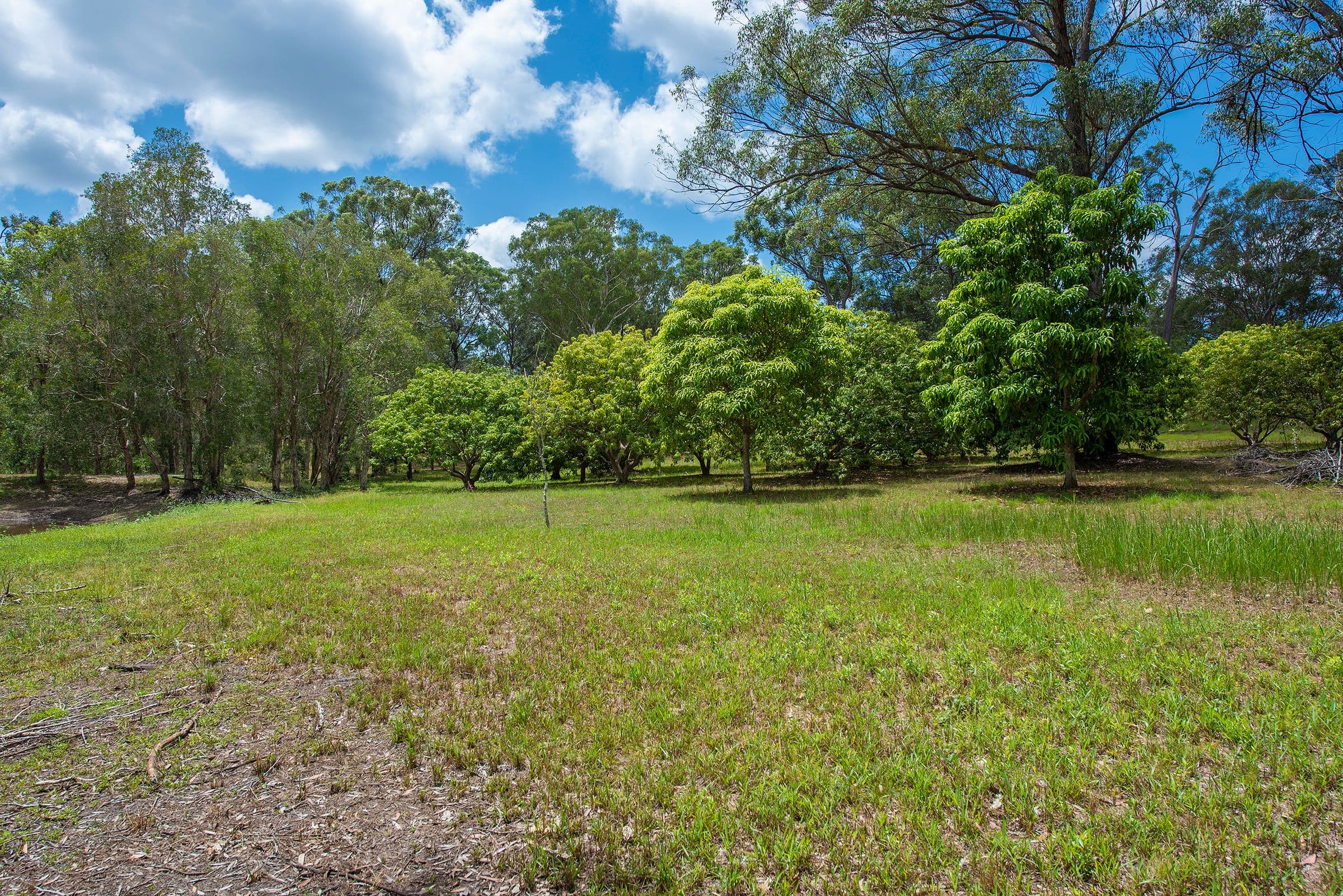 308 Ford Road, Burbank QLD 4156, Burbank - Thumbnail 5