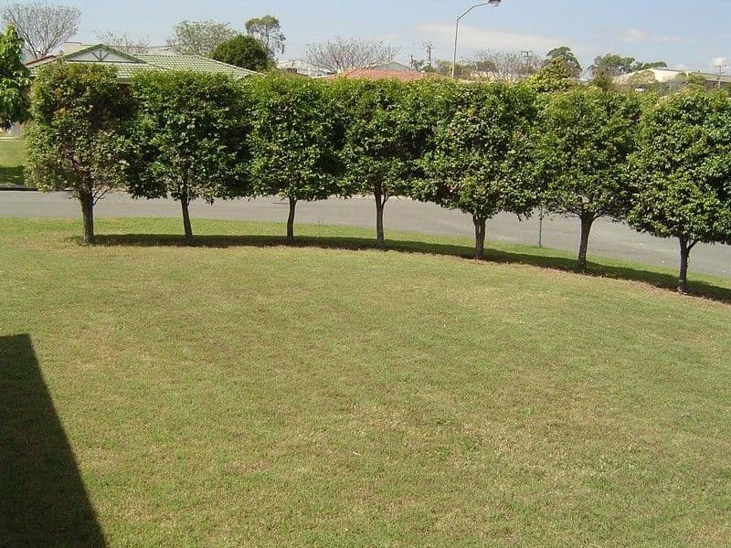 27 Samarinda Street, Tingalpa QLD 4173, Tingalpa - Thumbnail 3