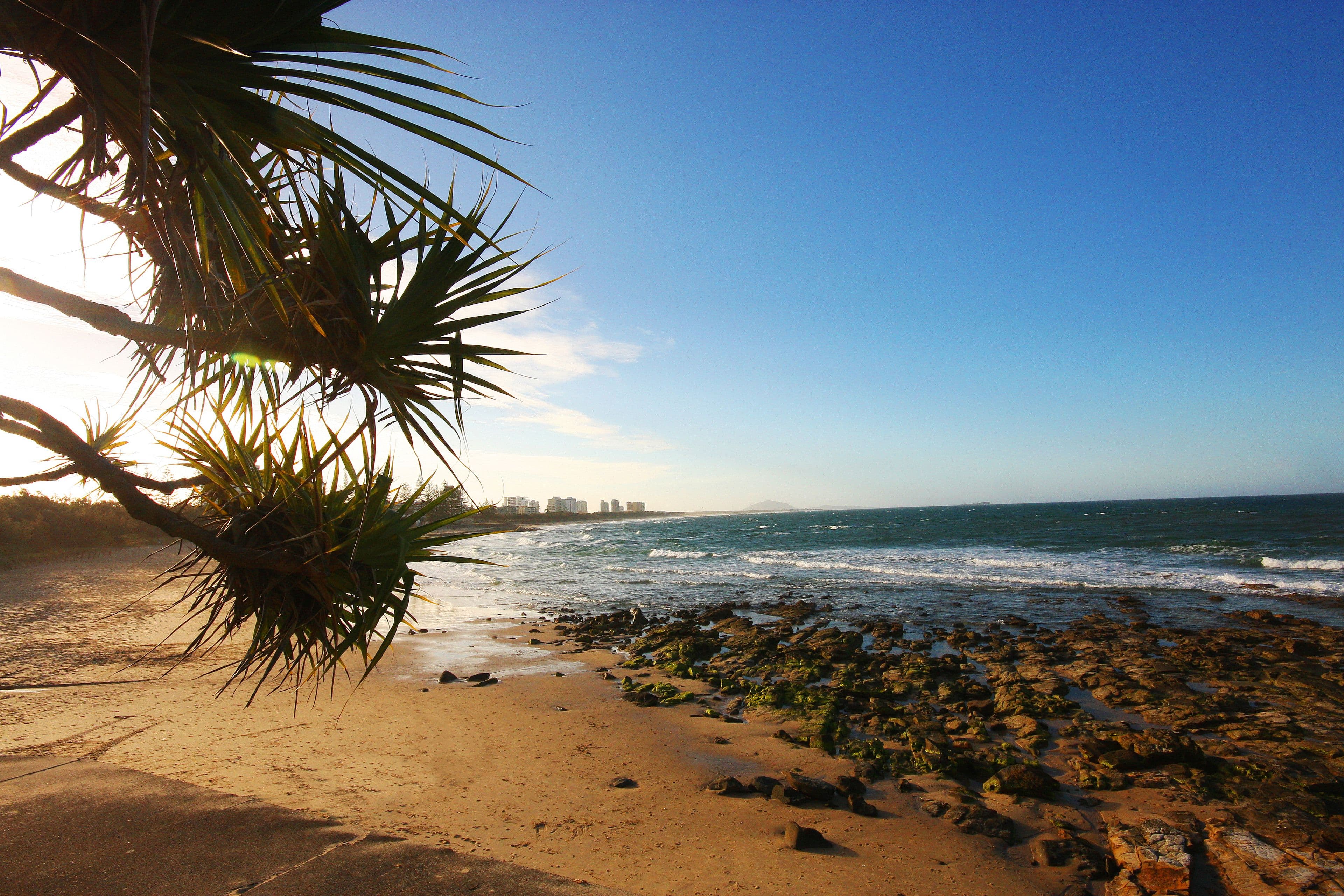 12 Dalby Street, Maroochydore QLD 4558, Maroochydore - Thumbnail 7