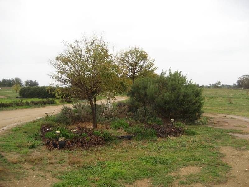 26 Quamby SS Lane, YOUNG NSW 2594, Young - Thumbnail 8