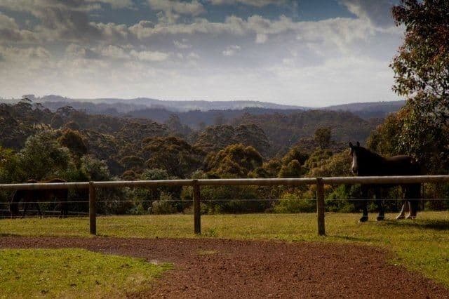 30 Abernethy Court, Denmark WA 6333, Denmark - Thumbnail 2