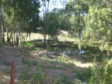 96 Victoria Street, HOWLONG NSW 2643, Howlong - Thumbnail 2