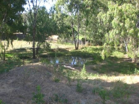 96 Victoria Street, HOWLONG NSW 2643, Howlong - Thumbnail 4