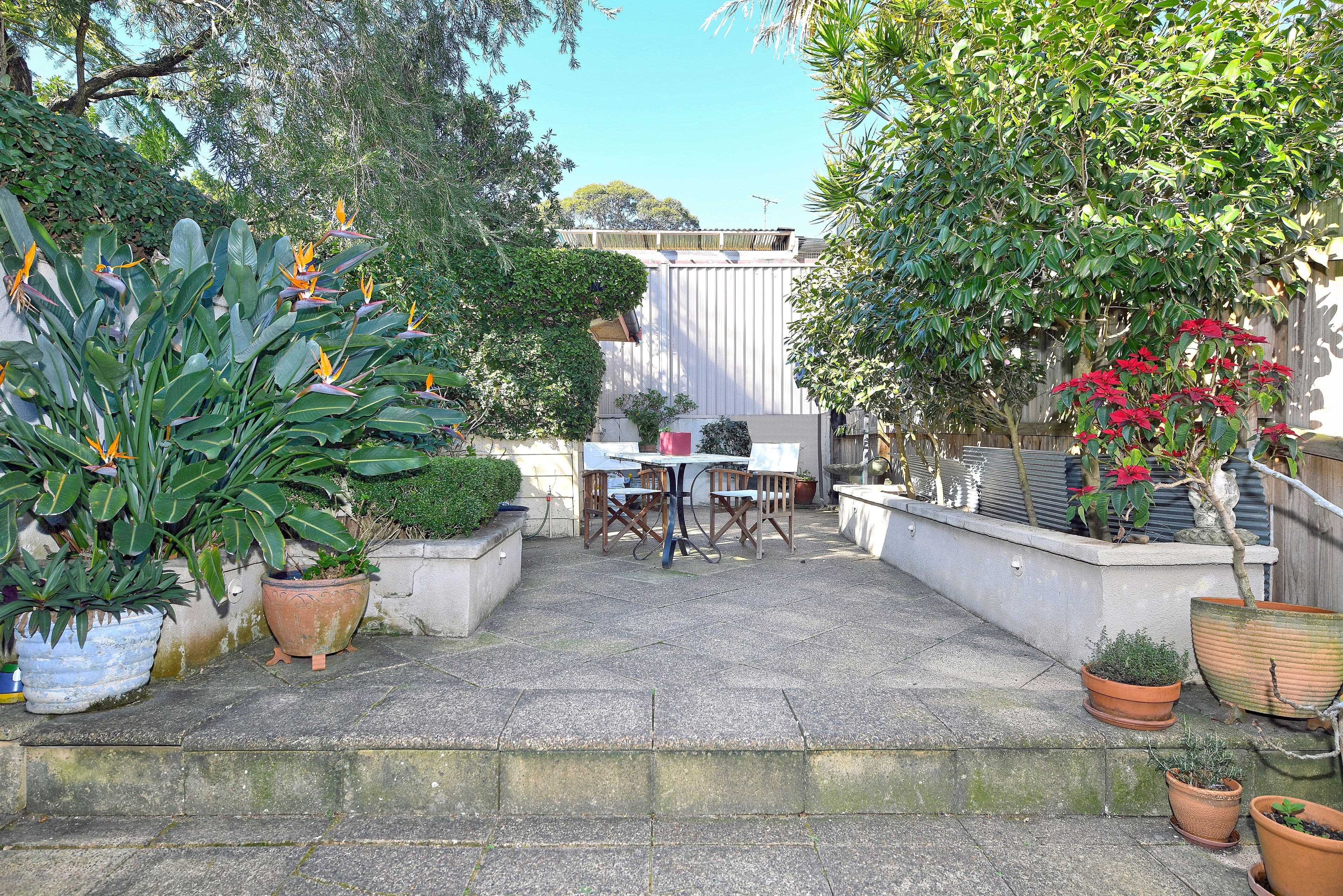 17 Randwick Street, Randwick NSW 2031, Randwick - Thumbnail 3