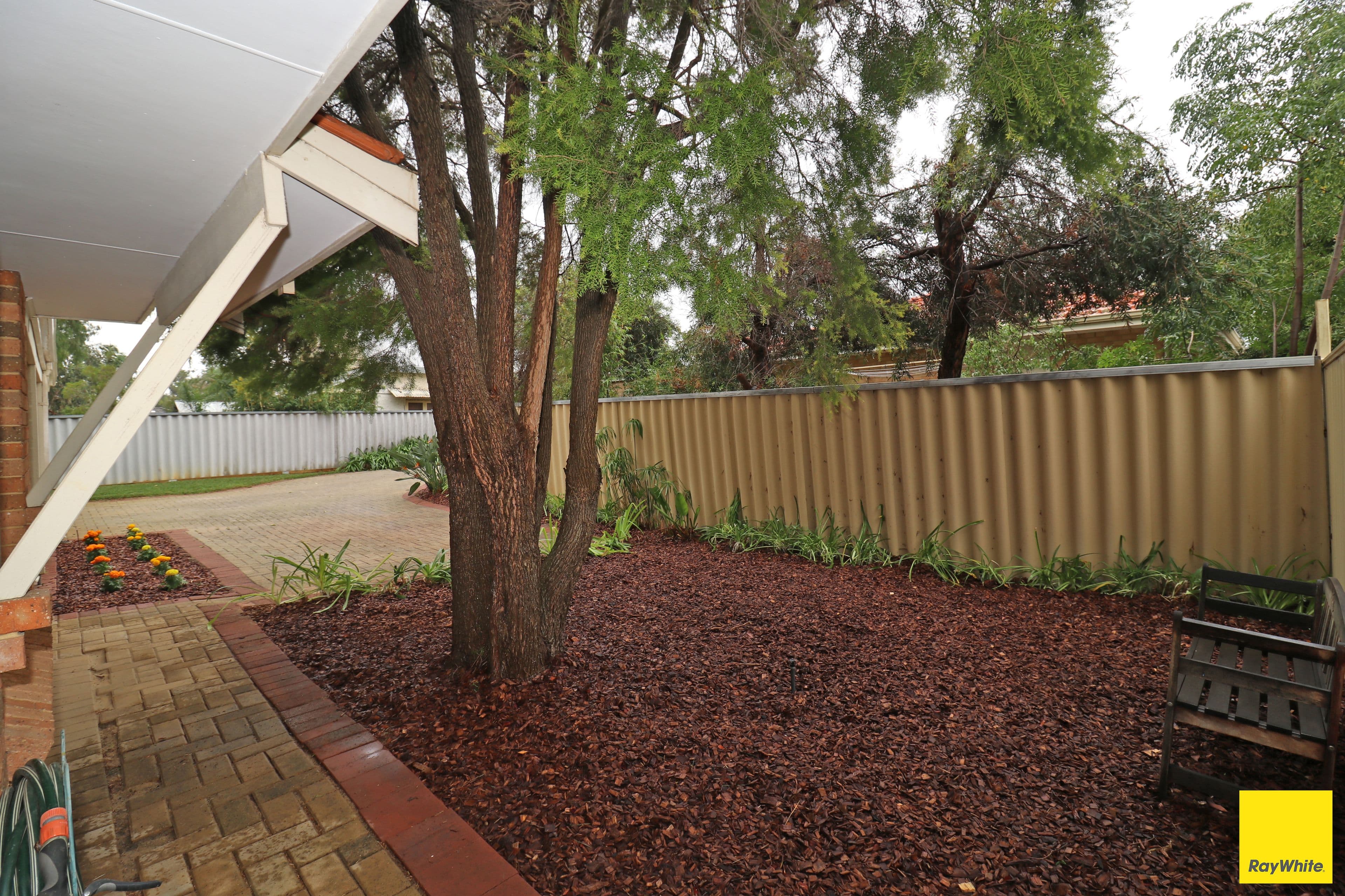 86 Whitfield Street, Bassendean WA 6054, Bassendean - Thumbnail 4