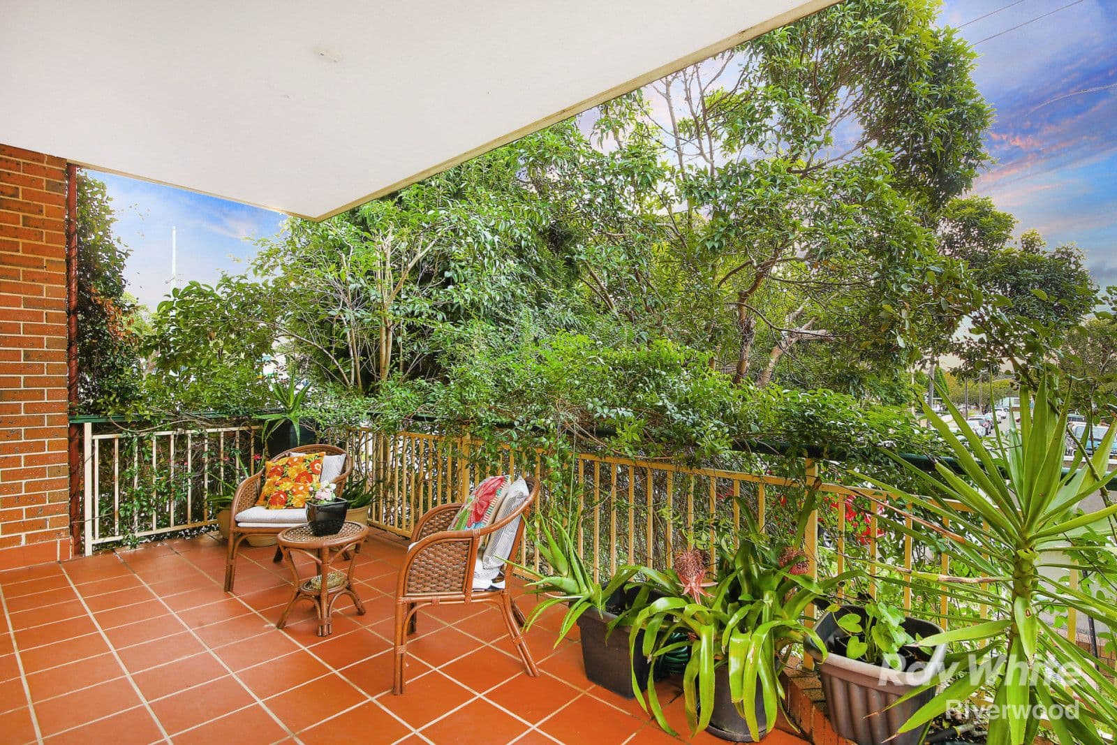 17 Coleridge Street, Riverwood NSW 2210, Riverwood - Thumbnail 2