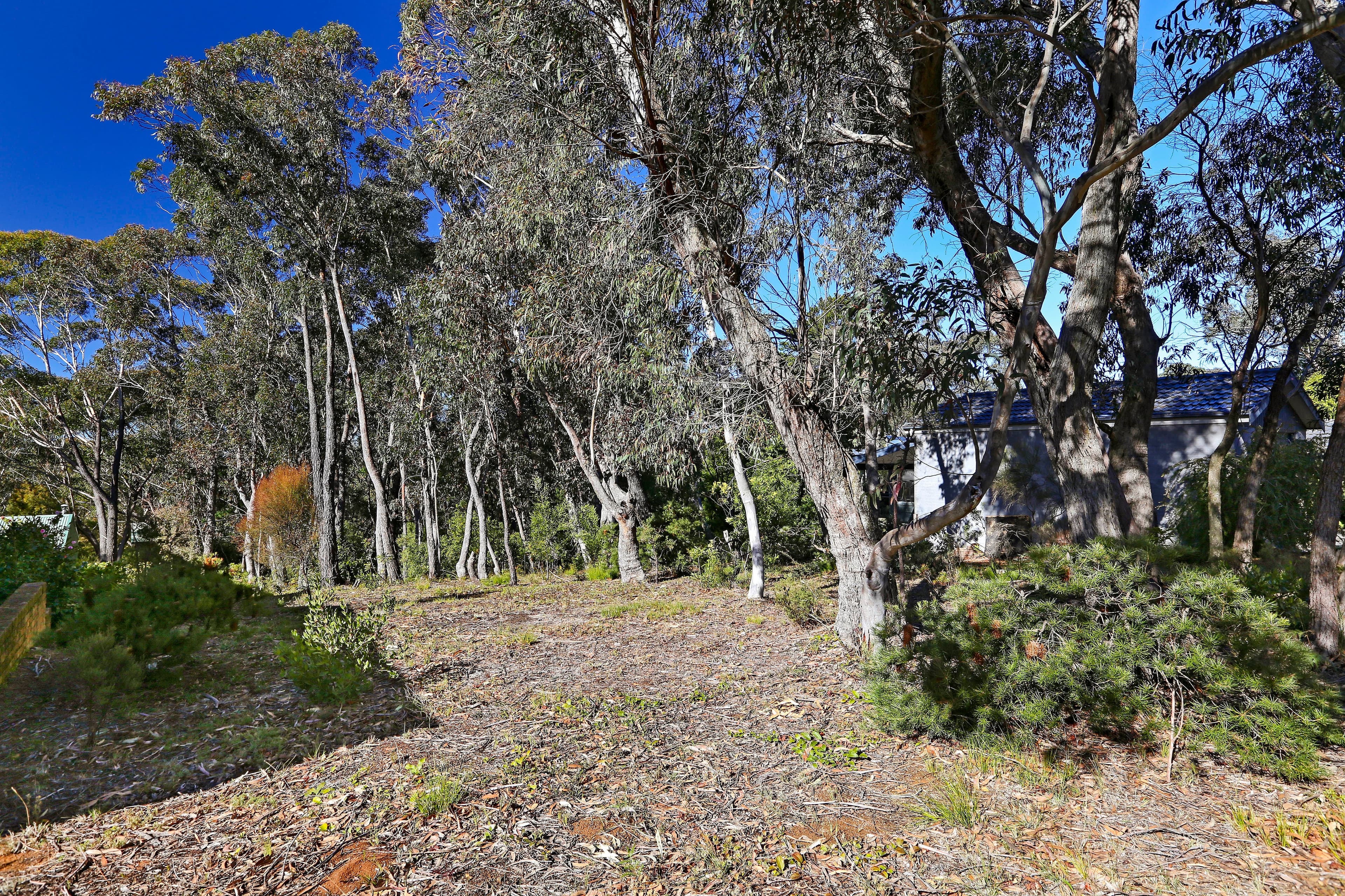 253 Govetts Leap Road, Blackheath NSW 2785, Blackheath - Thumbnail 2