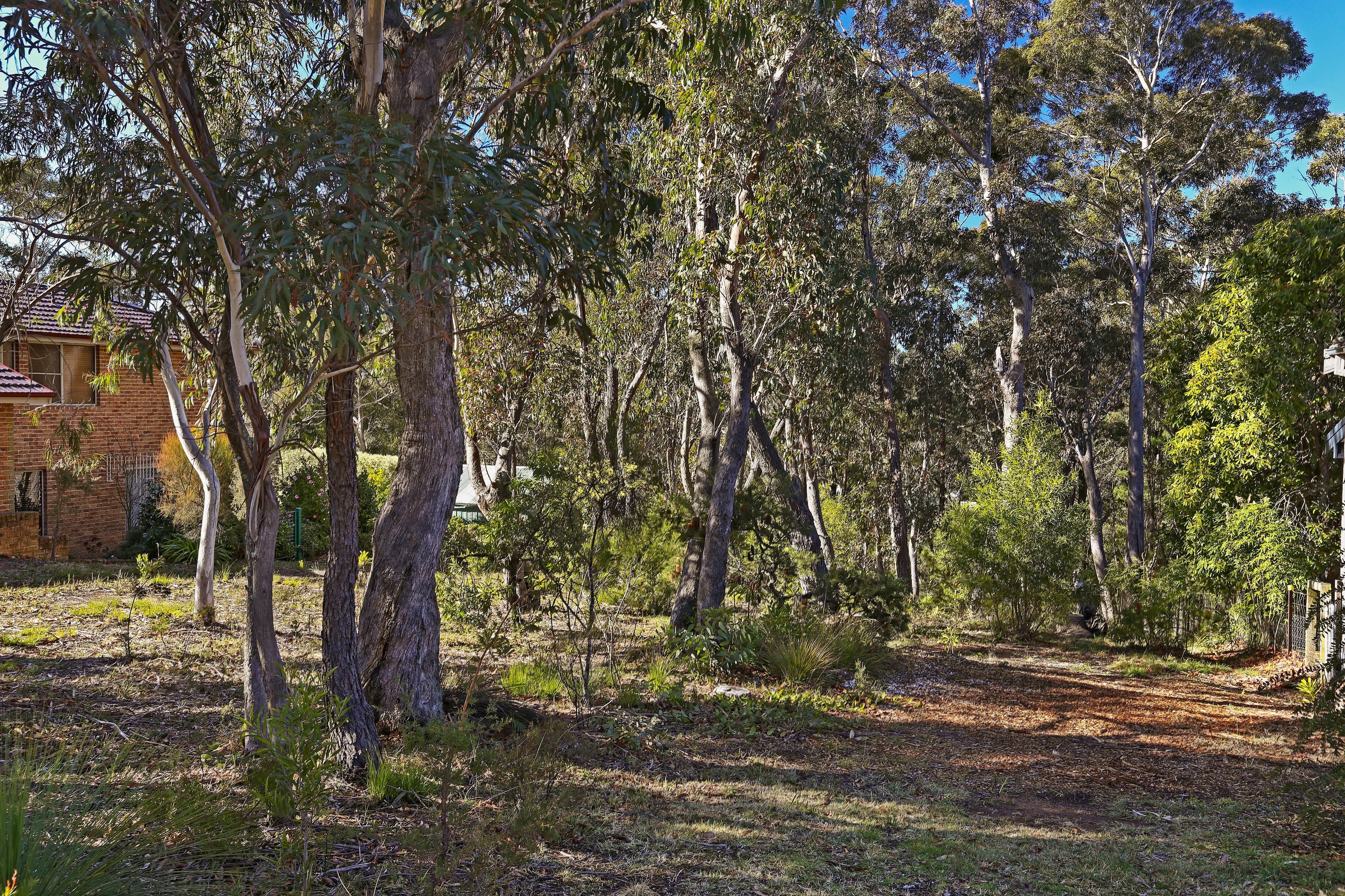 253 Govetts Leap Road, Blackheath NSW 2785, Blackheath - Thumbnail 3