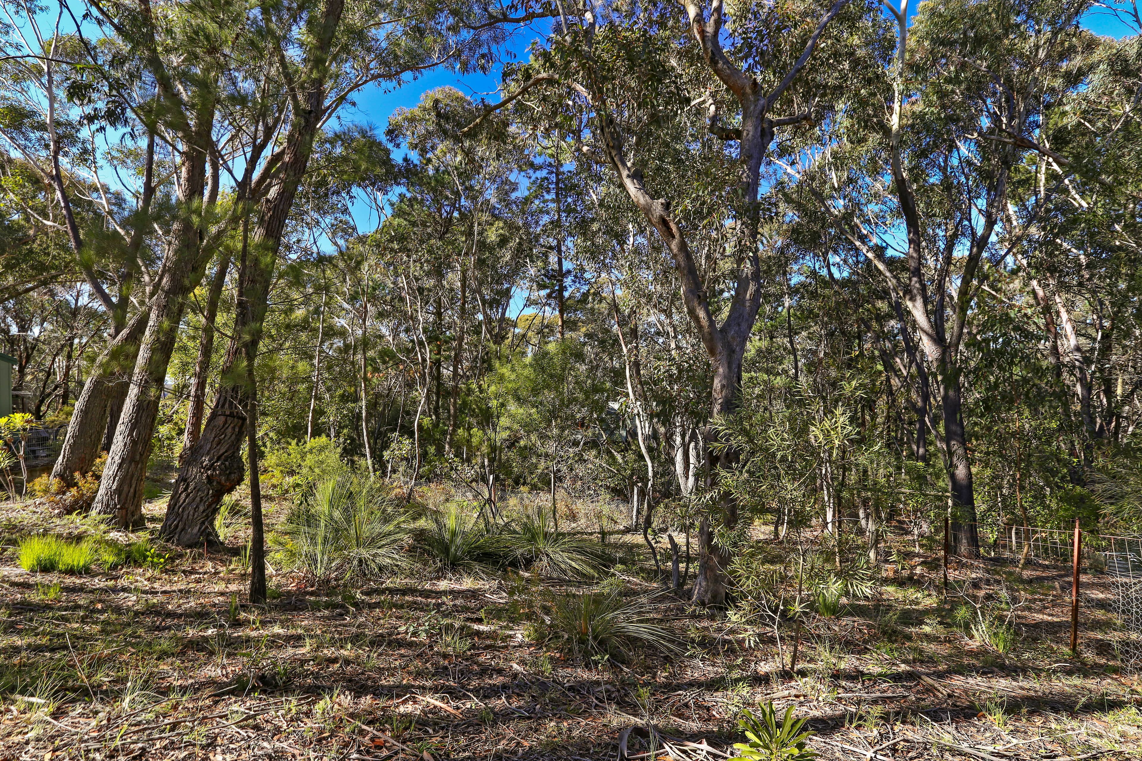 253 Govetts Leap Road, Blackheath NSW 2785, Blackheath - Thumbnail 4
