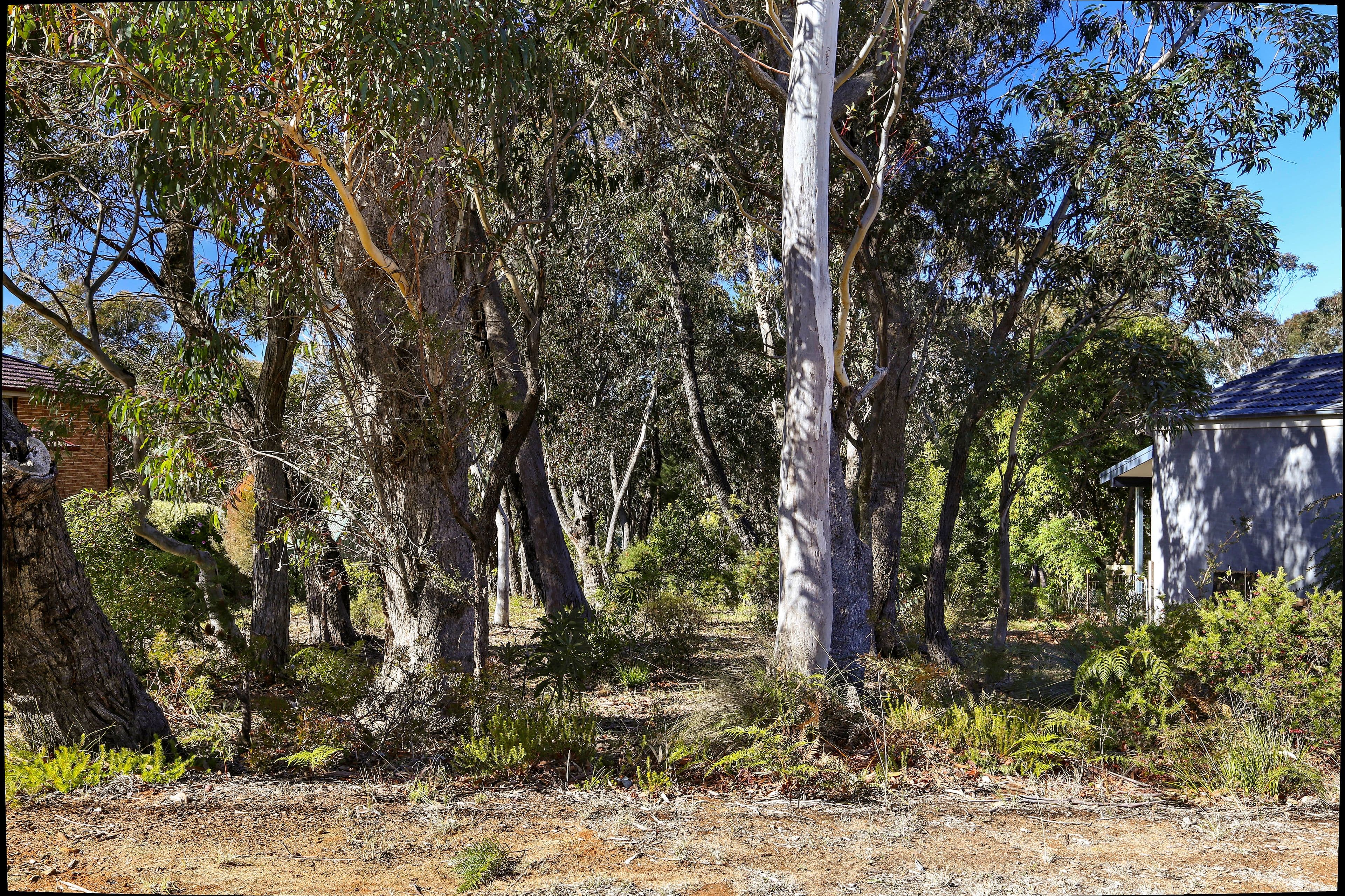 253 Govetts Leap Road, Blackheath NSW 2785, Blackheath - Thumbnail 5