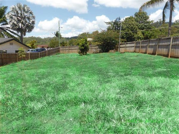 4 Atherton Street, Whitfield QLD 4870, Whitfield - Thumbnail 4