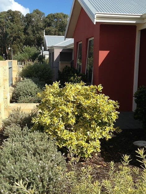 11 WHITECAP Street, YANCHEP WA 6035, Yanchep - Thumbnail 2