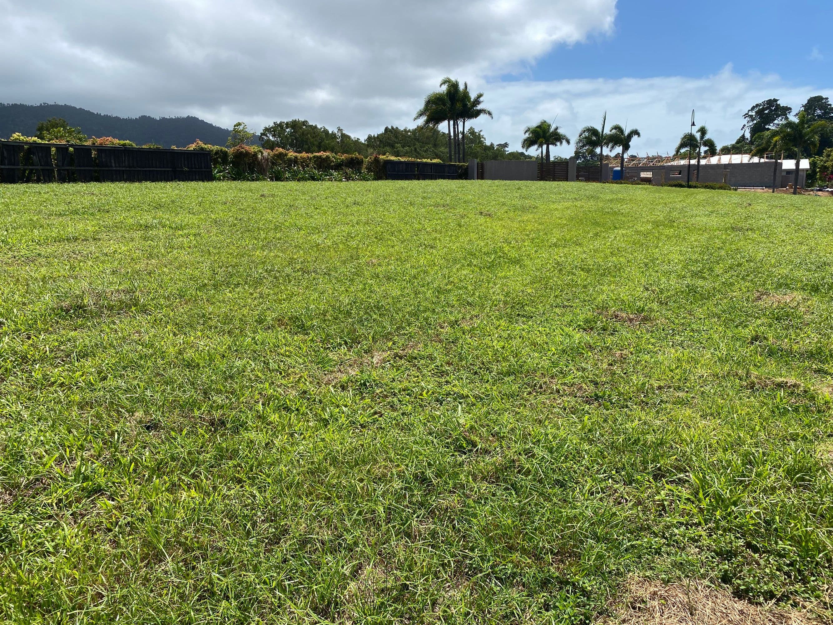 61 Shelly Court, Mission Beach QLD 4852, Mission Beach - Thumbnail 5