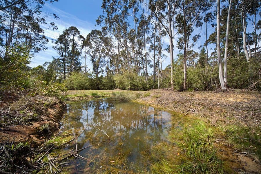 26-28 Coachhouse Lane, Medlow Bath NSW 2780, Medlow Bath - Thumbnail 4