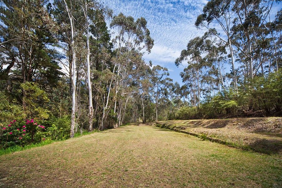 26-28 Coachhouse Lane, Medlow Bath NSW 2780, Medlow Bath - Thumbnail 5