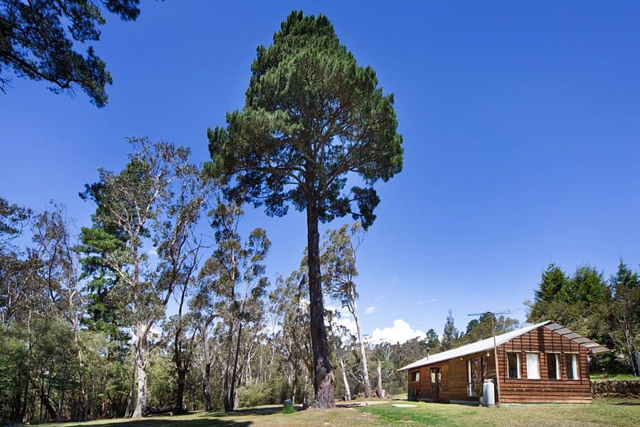 26-28 Coachhouse Lane, Medlow Bath NSW 2780, Medlow Bath - Thumbnail 7
