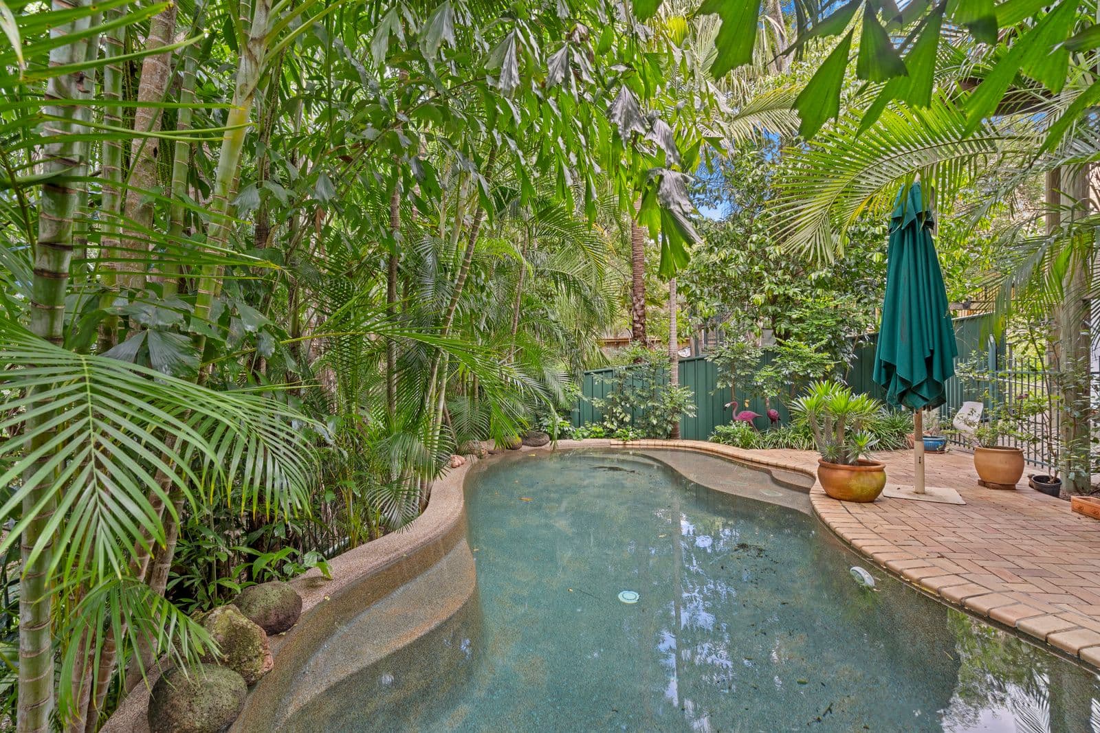 67 Fanny Street, Annerley QLD 4103, Annerley - Thumbnail 5