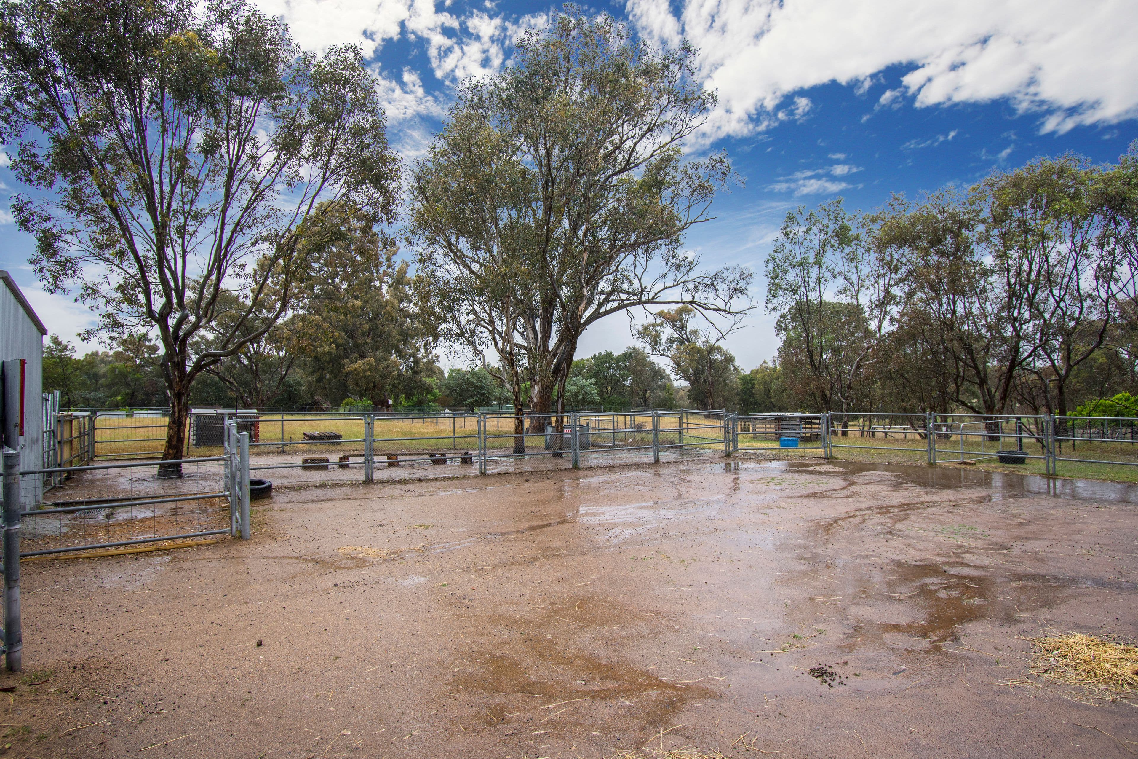 26 Woodleigh Drive, Murrumbateman - Thumbnail 5