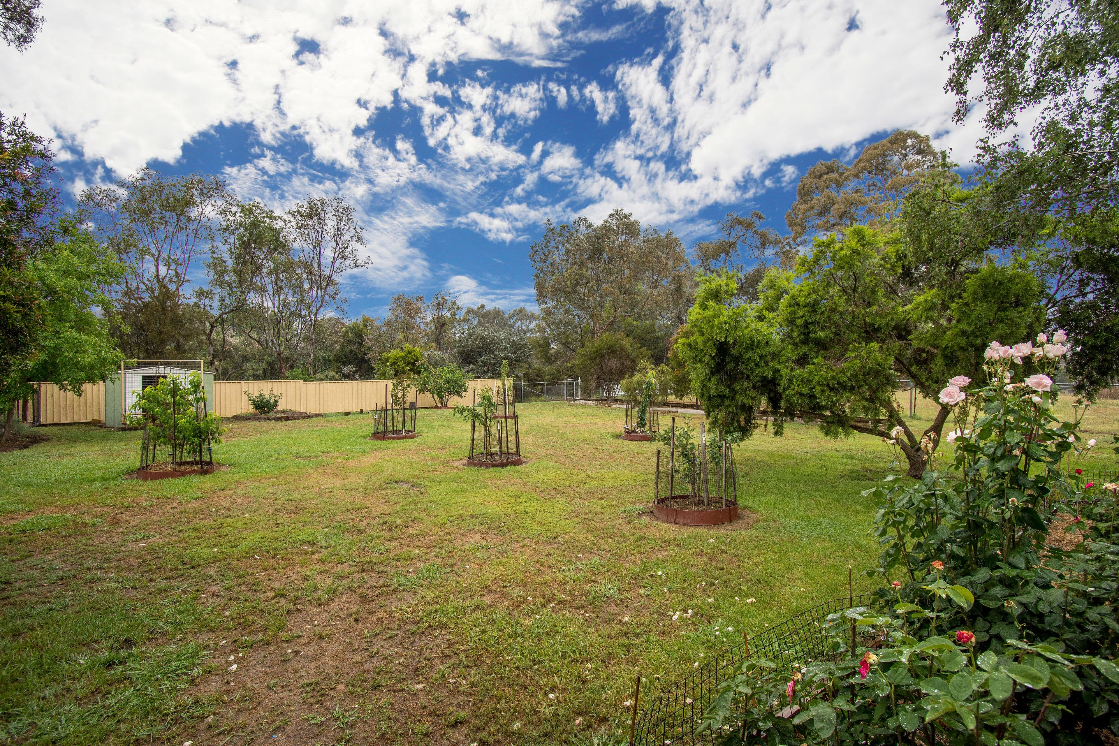 26 Woodleigh Drive, Murrumbateman - Thumbnail 8